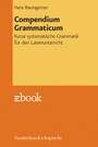 Compendium Grammaticum - Kurze systematische Grammatik für den Lateinunterricht