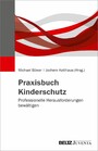 Praxisbuch Kinderschutz - Professionelle Herausforderungen bewältigen