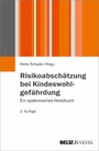 Risikoabschätzung bei Kindeswohlgefährdung - Ein systemisches Handbuch