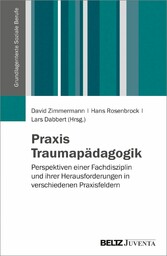 Praxis Traumapädagogik - Perspektiven einer Fachdisziplin und ihrer Herausforderungen in verschiedenen Praxisfeldern