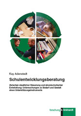 Schulentwicklungsberatung - Zwischen staatlicher Steuerung und einzelschulischer Entwicklung: Untersuchungen zu Bedarf und Gestalt eines Unterstützungsinstruments